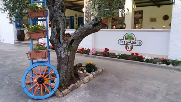 Village Valle D'Oro Aparthotel San Menaio Eksteriør billede
